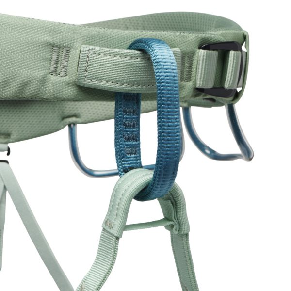 Black Diamond Momentum Women's Harness